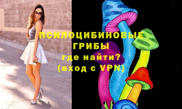 стафф Алексеевка